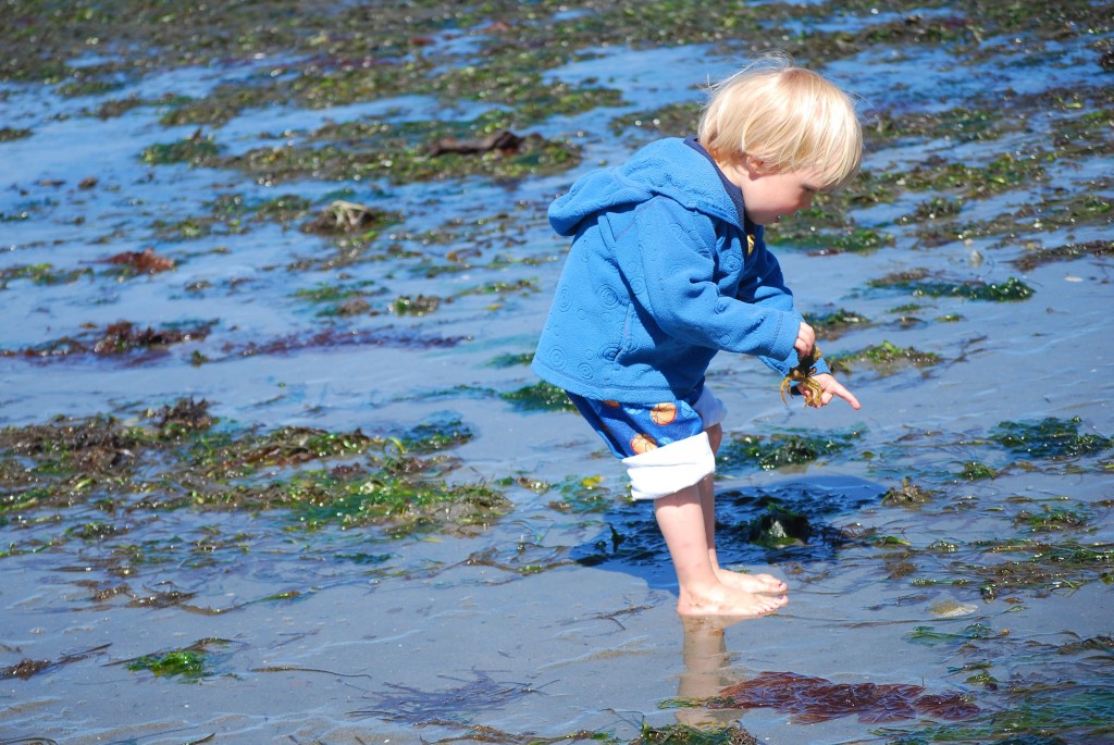 Ben_Golden_Gardens